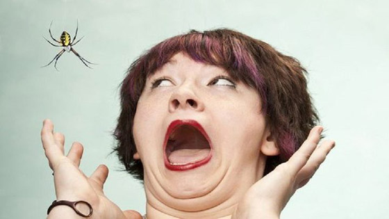 9 حقائق مرعبة عن رهاب العناكب ! صورة رقم 3