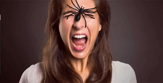 9 حقائق مرعبة عن رهاب العناكب ! صورة رقم 1