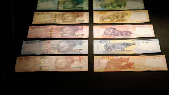 الحيوانات تُجاور نيلسون مانديلا على عملات جنوب أفريقيا صورة رقم 2