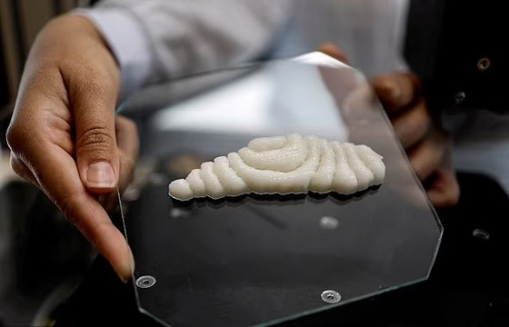 علماء ينتجون أول شريحة سمك في المختبر صورة رقم 2