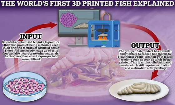 علماء ينتجون أول شريحة سمك في المختبر صورة رقم 3