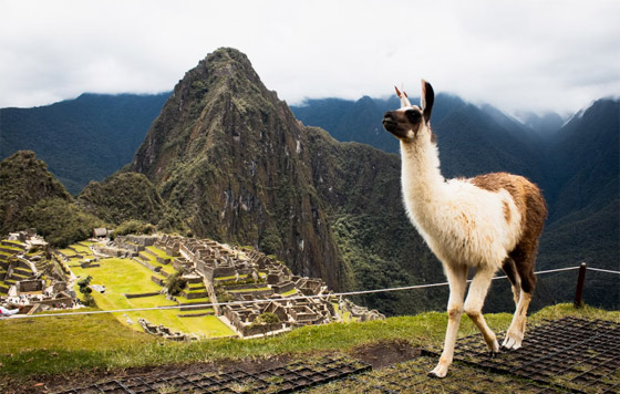 بالصور: 14 من أفضل وأجمل مسارات التنزه حول العالم عام 2023 صورة رقم 1