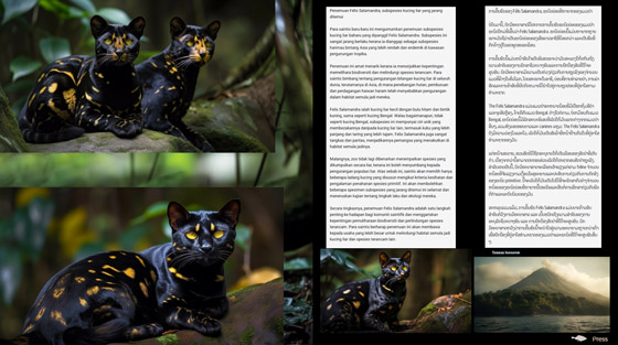 صور: قطط نادرة ولا أغرب تشغل وسائل التواصل.. ما قصتها؟ صورة رقم 2 صور: قطط نادرة ولا أغرب تشغل وسائل التواصل.. ما قصتها؟ صورة رقم 2