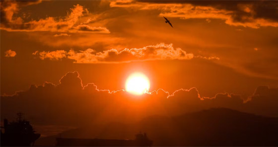 ما هو لون الشمس؟.. الإجابة صادمة لن تصدقها! صورة رقم 1 ما هو لون الشمس؟.. الإجابة صادمة لن تصدقها! صورة رقم 1