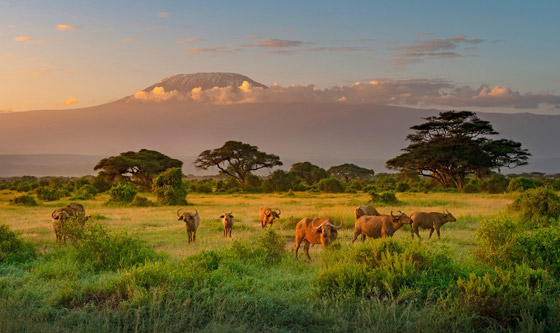 صور: 4 أماكن سياحية مناسبة لقضاء شهر العسل في الصيف صورة رقم 4 صور: 4 أماكن سياحية مناسبة لقضاء شهر العسل في الصيف صورة رقم 4