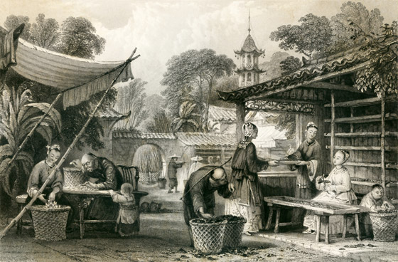 من بينها الشاي والورق.. تعرفوا إلى أعظم اختراعات الصين القديمة صورة رقم 9