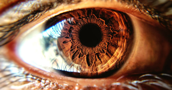 علاج جيني قد يعيد البصر للمكفوفين وراثيا! صورة رقم 2