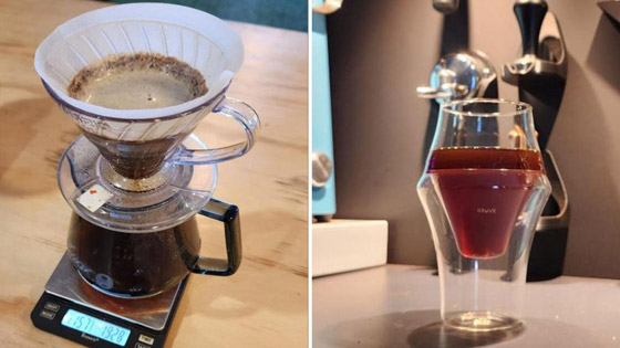 قهوة تبكي مرتشفها! هل تدفع 1500 دولار مقابلها؟ صورة رقم 1 قهوة تبكي مرتشفها! هل تدفع 1500 دولار مقابلها؟ صورة رقم 1