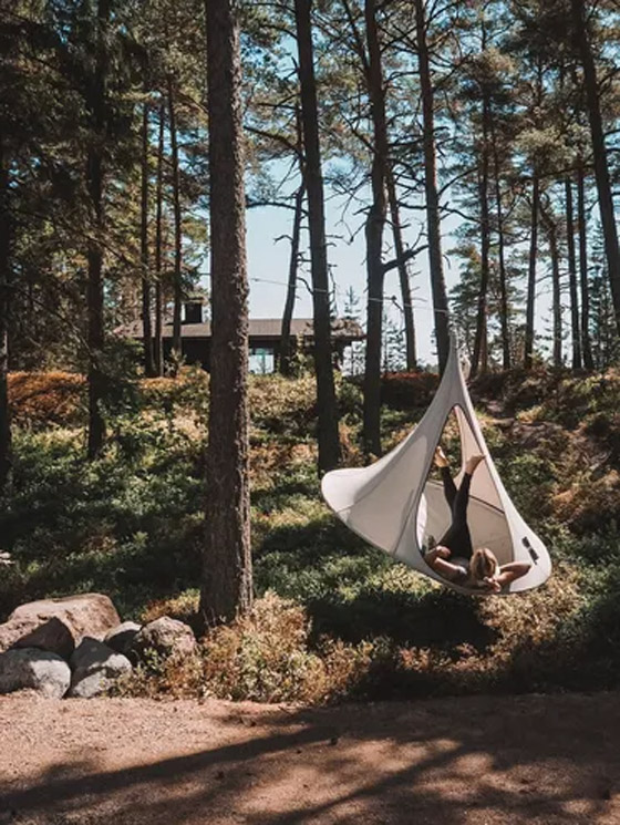 تفتح 3 أشهر فقط بالسنة.. 