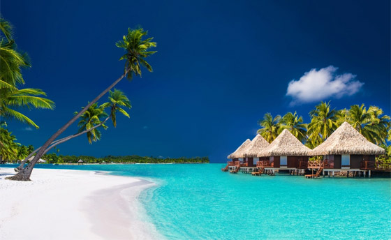 وجهات رومانسية جذابة لقضاء شهر عسل مثالي لعشاق الشواطئ صورة رقم 2 وجهات رومانسية جذابة لقضاء شهر عسل مثالي لعشاق الشواطئ صورة رقم 2