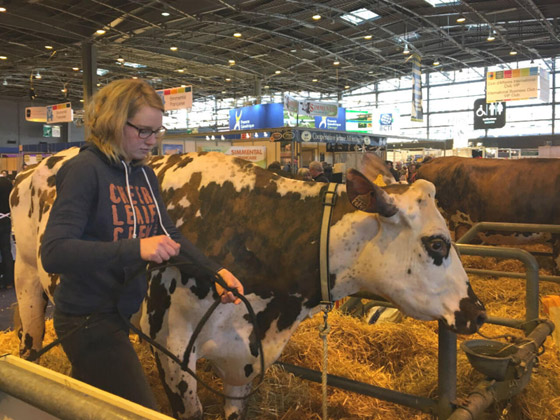 رغم قيمتها كثروة لا مثيل لها.. أبقار فرنسا تهدد الكوكب صورة رقم 2