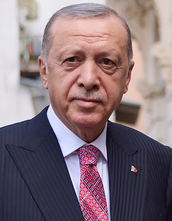 ماذا يعني خمس سنوات أخرى من حكم أردوغان؟ صورة رقم 8