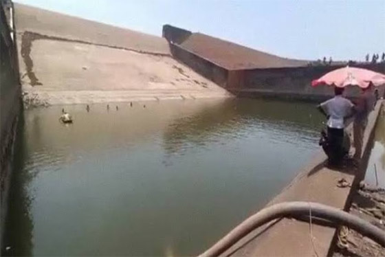 واقعة ولا أغرب.. مسؤول يأمر بتجفيف سد لـ