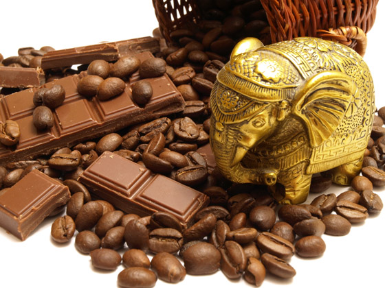 مشروم سعره 2000 دولار!.. إليكم أغلى أنواع الأطعمة حول العالم صورة رقم 1