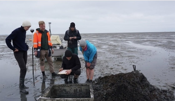 ظهور مدينة ألمانية غمرتها المياه بعد 700 عام من اختفائها صورة رقم 1