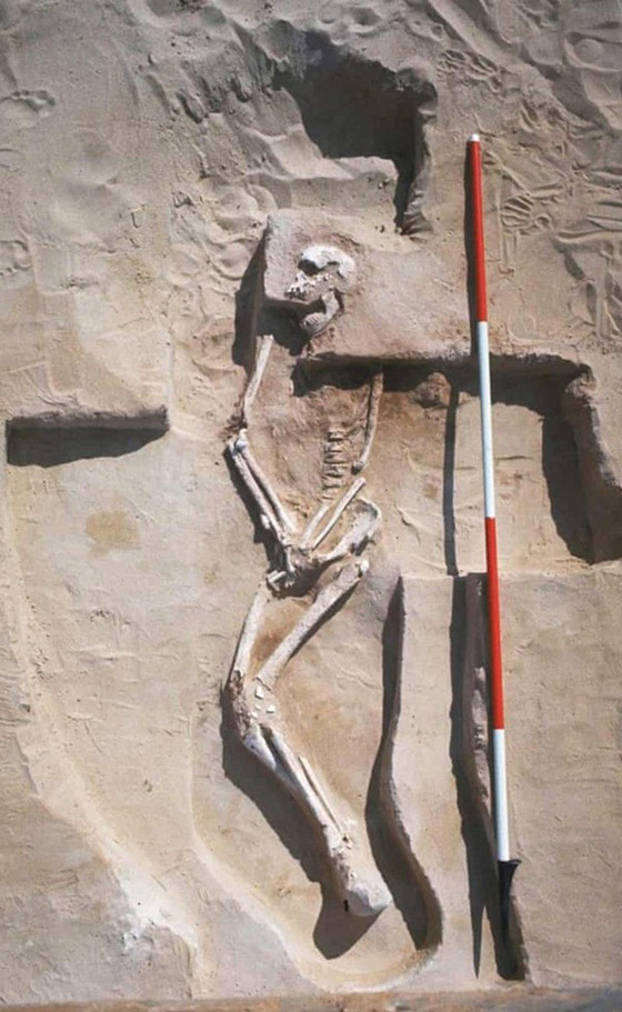 المكسيك تكشف لغز الرفات البشرية صورة رقم 1