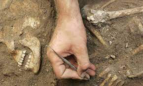 المكسيك تكشف لغز الرفات البشرية صورة رقم 4