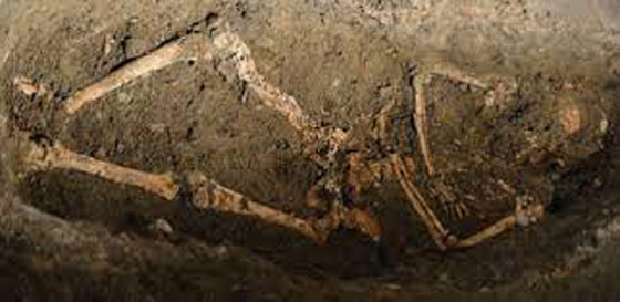 المكسيك تكشف لغز الرفات البشرية صورة رقم 3