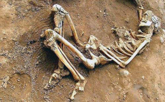 المكسيك تكشف لغز الرفات البشرية صورة رقم 6