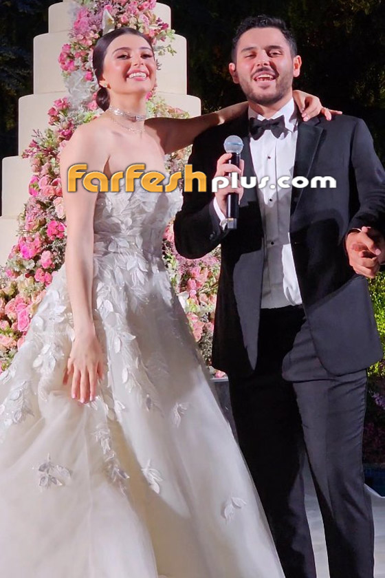 كيف علق عاصي الحلاني على خبر إنفصال ابنته ماريتا عن زوجها؟ صورة رقم 3