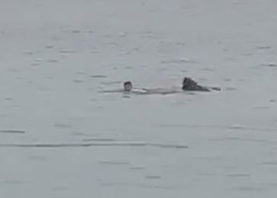 فيديو: السلطات المصرية تصطاد القرش القاتل الذي هاجم السائح الروسي صورة رقم 6