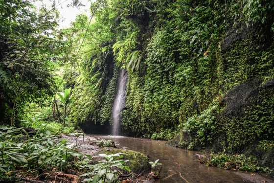 أماكن ونشاطات رومانسية للثنائي خلال شهر العسل في بالي صورة رقم 2