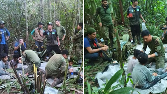 معجزة: العثور على أطفال تاهوا بالأدغال نحو 40 يوما بعد تحطم طائرة! صورة رقم 6