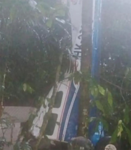 معجزة: العثور على أطفال تاهوا بالأدغال نحو 40 يوما بعد تحطم طائرة! صورة رقم 7