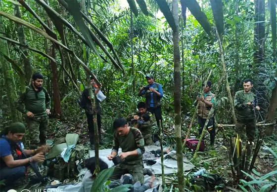 معجزة: العثور على أطفال تاهوا بالأدغال نحو 40 يوما بعد تحطم طائرة! صورة رقم 8