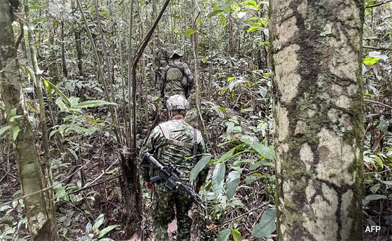 معجزة: العثور على أطفال تاهوا بالأدغال نحو 40 يوما بعد تحطم طائرة! صورة رقم 11