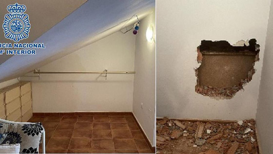 أخفى رفاتها في الجدار.. شاب يقتل صديقته ويذيب جسدها بالأسيد صورة رقم 4