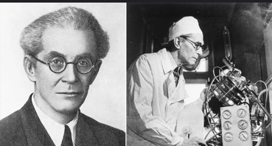 10 تجارب طبية وحشية احتلت مكانتها في التاريخ! صورة رقم 6