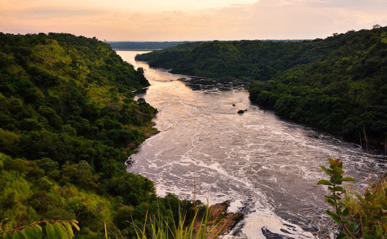 نهر النيل أم الأمازون.. أيهما الأطول عالميا؟ صورة رقم 5