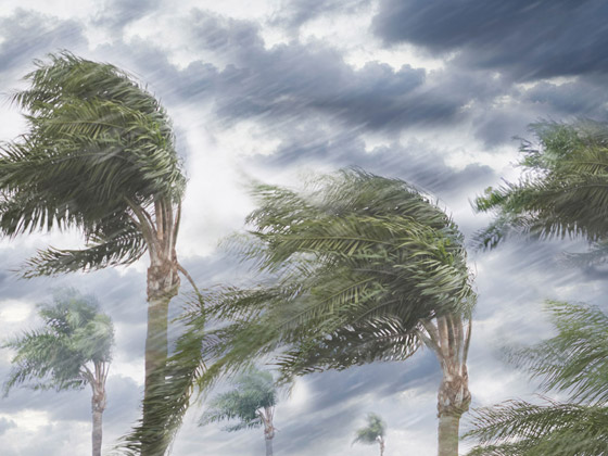 إليكم الدول الأكثر عرضة للكوارث الطبيعية صورة رقم 6 إليكم الدول الأكثر عرضة للكوارث الطبيعية صورة رقم 6