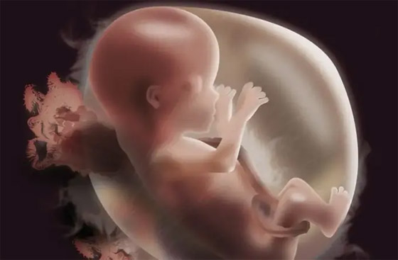 اختراق علمي مذهل وخوف على البشر: أجنة بشرية اصطناعية تثير الجدل! صورة رقم 8