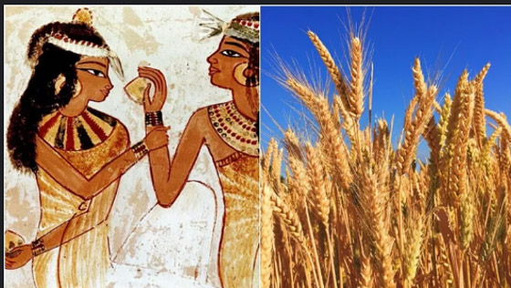 تقنيات قديمة لا تزال تستخدم حتى اليوم! صورة رقم 9