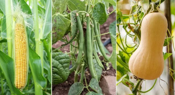 تقنيات قديمة لا تزال تستخدم حتى اليوم! صورة رقم 5