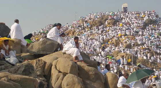  ���� ��� 5 - ���� ���� ����� ��� ������ ������� �� ����� �����