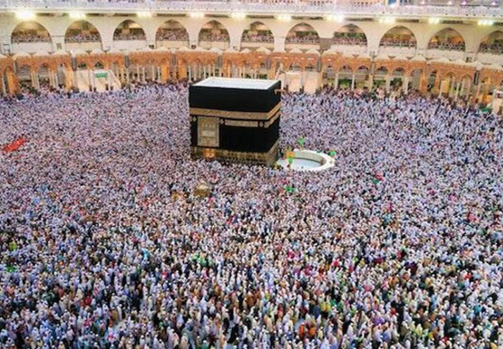  ���� ��� 8 - ���� ���� ����� ��� ������ ������� �� ����� �����