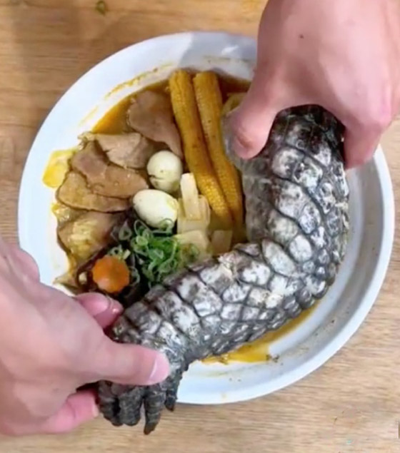 طبق بأرجل التماسيح.. وموجة استهجان لشكله المقزز! فيديو صورة رقم 3