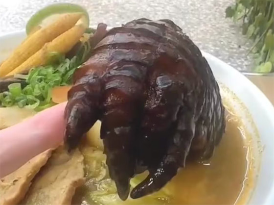 طبق بأرجل التماسيح.. وموجة استهجان لشكله المقزز! فيديو صورة رقم 4