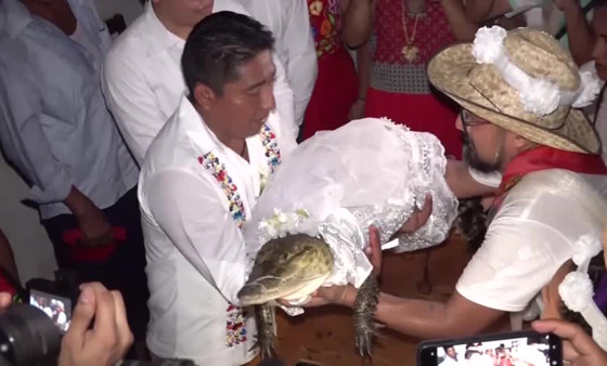 فيديو وصور: زواج رئيس بلدية بالمكسيك من أنثى تمساح! صورة رقم 2 فيديو وصور: زواج رئيس بلدية بالمكسيك من أنثى تمساح! صورة رقم 2