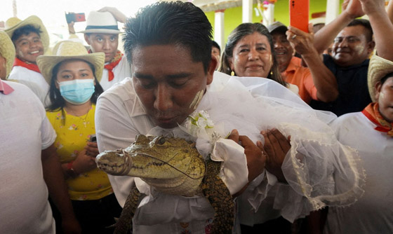 فيديو وصور: زواج رئيس بلدية بالمكسيك من أنثى تمساح! صورة رقم 3 فيديو وصور: زواج رئيس بلدية بالمكسيك من أنثى تمساح! صورة رقم 3