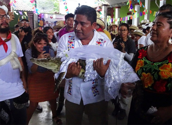 فيديو وصور: زواج رئيس بلدية بالمكسيك من أنثى تمساح! صورة رقم 7 فيديو وصور: زواج رئيس بلدية بالمكسيك من أنثى تمساح! صورة رقم 7