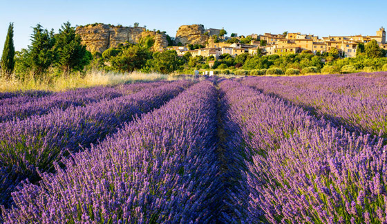 مقاطعة فرنسية غنية بالتاريخ والمناظر الطبيعية.. 