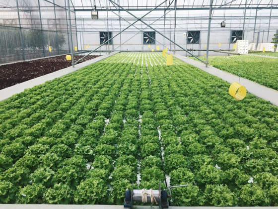 مراحيض إلكترونية.. إليكم أكثر 10 مدن تكنولوجية حول العالم (صور) صورة رقم 2