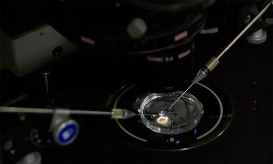 عالم صيني مثير للجدل يقترح بحثا لتعديل الأجنة البشرية! العلماء وصفوه بـ