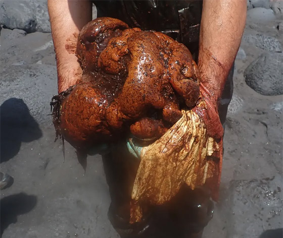 العثور على العثور على