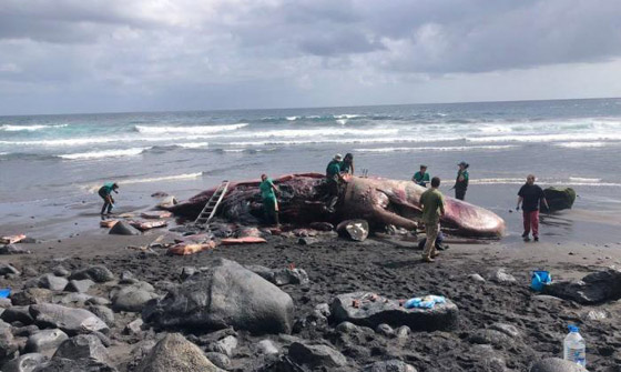 العثور على العثور على