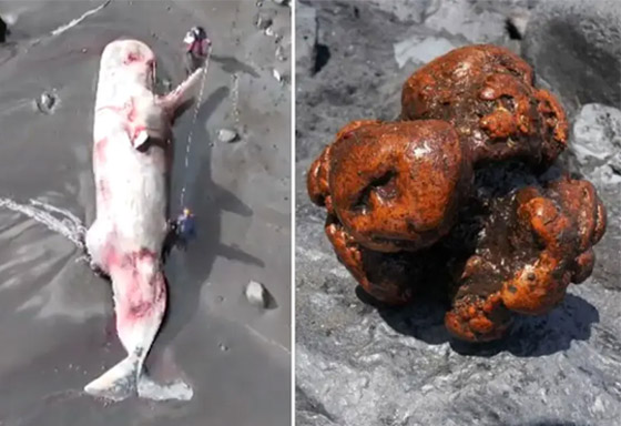 العثور على العثور على